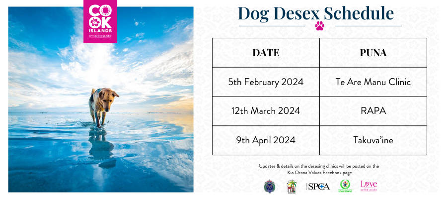 Dog desex Cruise Ship Schedule (3)-1