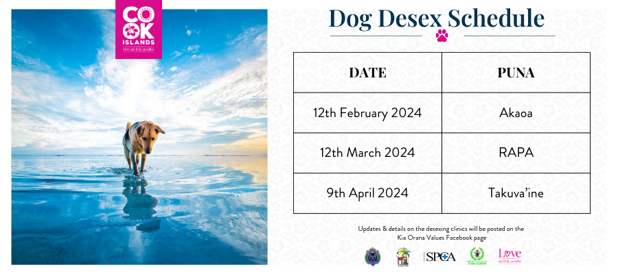 Dog desex Cruise Ship Schedule (3)